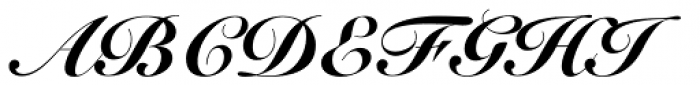 Blacking script. Шрифт Snell. Snell Roundhand. Snell Roundhand шрифт. Шрифт Snell Roundhand кириллица.